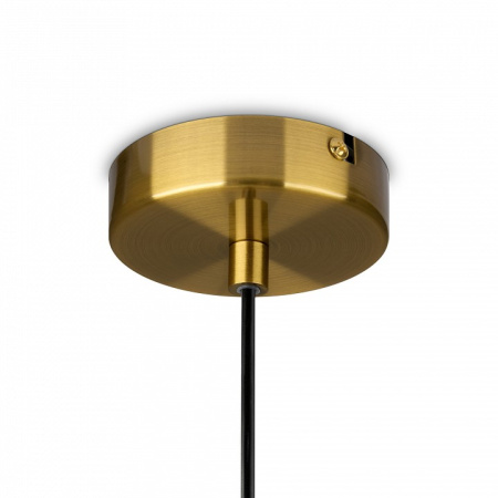 Фото Подвесной светильник Freya Sharlot FR1012PL-01BS