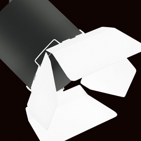 Фото Светильник на штанге Lightstar Rullo PRO3487486