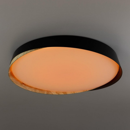 Фото Накладной светильник Citilux BONNY CL754451G