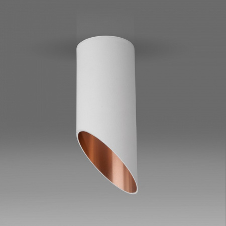 Фото Накладной светильник Elektrostandard 7011, 7005 a050119