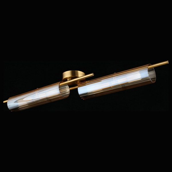 Фото Накладной светильник Aployt Lusia APL.315.07.04