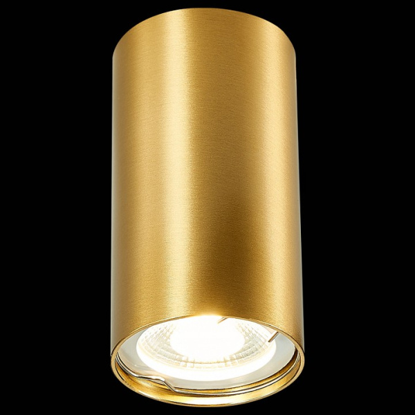 Фото Накладной светильник ST-Luce ST110 ST110.207.01