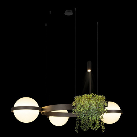 Открыть Подвесная люстра Loft it Jardin 10121/3 Dark grey Фото Подвесная люстра Loft it Jardin 10121/3 Dark grey