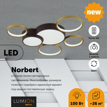 Фото Потолочная люстра Lumion Norbert 5255/99CL