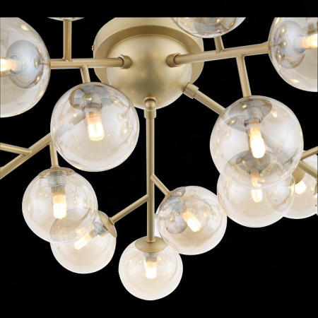 Фото Потолочная люстра ST-Luce Pallеre SL438.202.20