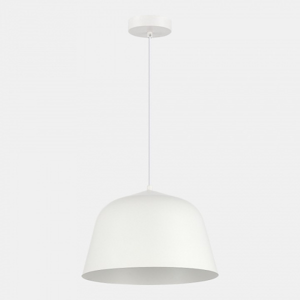 Фото Подвесной светильник EVOLUCE Blank SLE1805-503-01