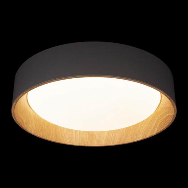Фото Накладной светильник Loft it Coin 10202 Grey