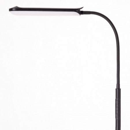 Фото Торшер Citilux Alex CL804051