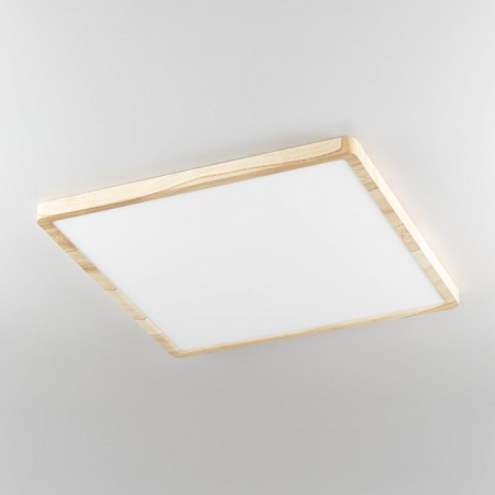 Фото Накладной светильник Citilux Бейсик CL738K502V