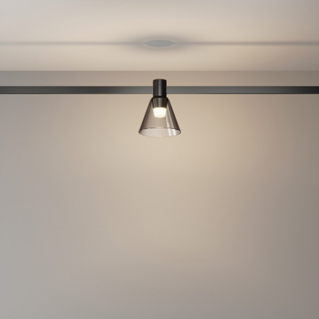 Фото Накладной светильник Maytoni Bianca TR147-1-3W3K-B