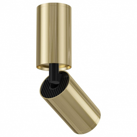 Фото Спот Maytoni Focus S C051CL-01G