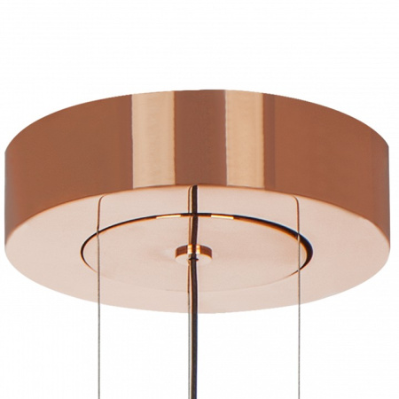 Фото Подвесной светильник Lightstar Viola 814532