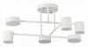 Фото Потолочная люстра EVOLUCE Nobel SLE201052-06