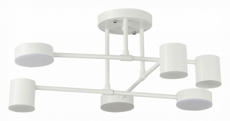 Фото Потолочная люстра EVOLUCE Nobel SLE201052-06