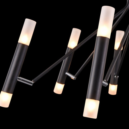 Фото Потолочная люстра Maytoni Vigo MOD620CL-16B