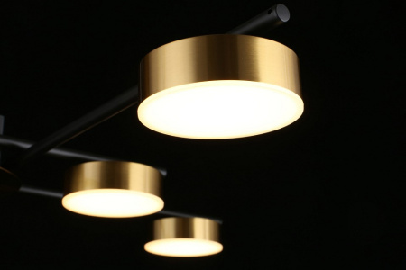 Фото Потолочная люстра Aployt Delayn APL.042.07.56