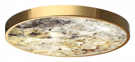 Фото Накладной светильник Odeon Light Bergi 5079/50L