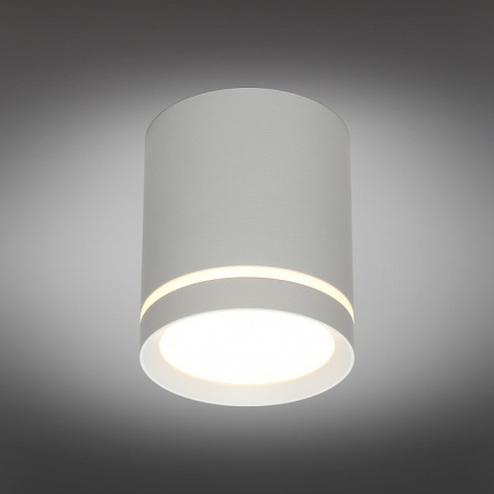 Фото Накладной светильник Omnilux Capurso OML-102429-05