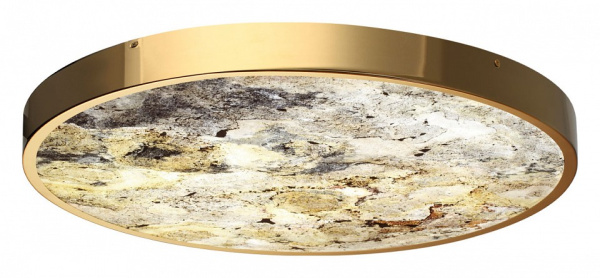 Фото Накладной светильник Odeon Light Bergi 5079/50L