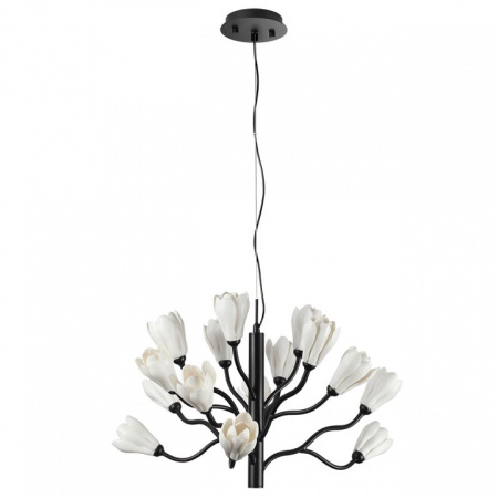 Фото Подвесная люстра Odeon Light Gardi 5090/15