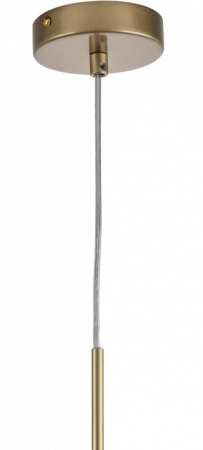 Фото Подвесной светильник Lightstar Ramo 690113