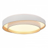 Открыть Накладной светильник EVOLUCE Crosby SLE6009-502-01 Фото Накладной светильник EVOLUCE Crosby SLE6009-502-01