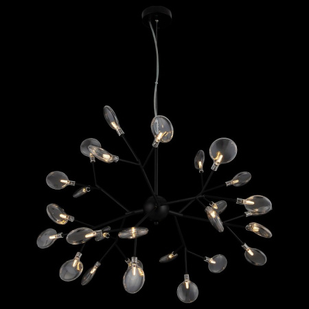 Фото Подвесная люстра Freya Florencia FR5049PL-27B