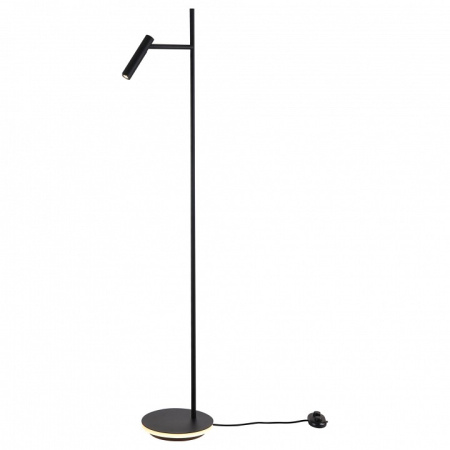 Фото Торшер Maytoni Estudo Z010FL-L8B3K