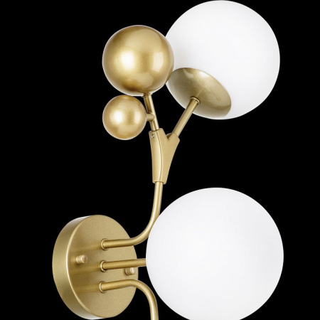 Фото Бра Lightstar Croco 815533