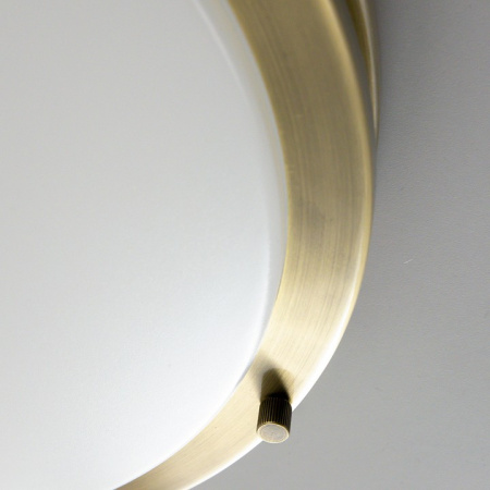 Фото Накладной светильник Citilux Бостон CL709323N