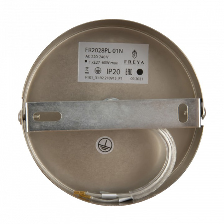 Фото Подвесной светильник Freya Soho FR2028PL-01N