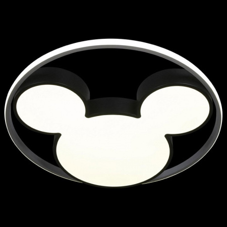 Фото Накладной светильник Loft it Mike 10166