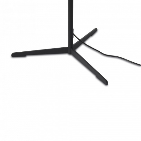 Фото Торшер Freya Vabi FR6132FL-L15B