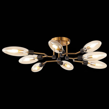 Фото Потолочная люстра ST-Luce Desima SL1174.302.08