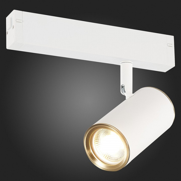 Фото Светильник на штанге ST-Luce SKYLINE 220 ST504.536.01