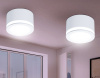 Открыть Накладной светильник Ambrella Light TN TN265 Фото Накладной светильник Ambrella Light TN TN265
