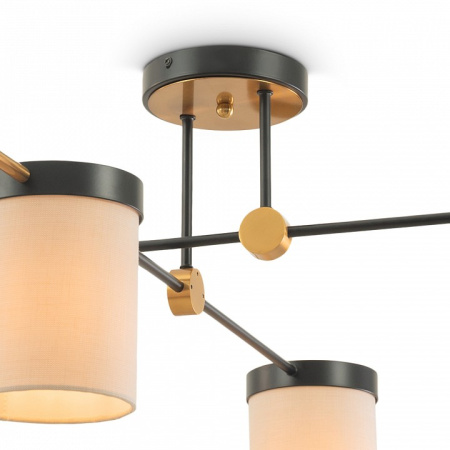 Фото Потолочная люстра Freya Bogy FR5377CL-04B