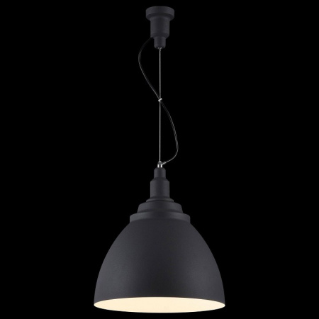 Фото Подвесной светильник Maytoni Bellevue P535PL-01B