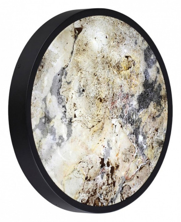 Фото Накладной светильник Odeon Light Bergi 5064/24L