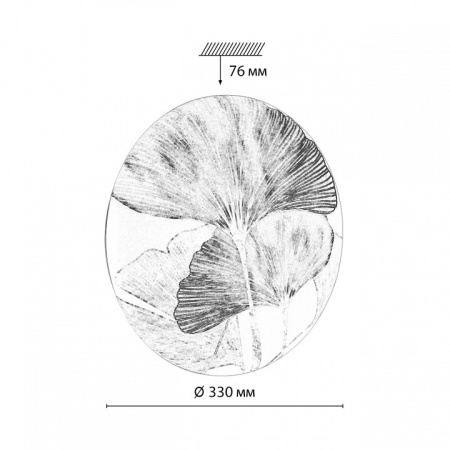 Открыть Накладной светильник Sonex Floren 7747/CL Фото Накладной светильник Sonex Floren 7747/CL