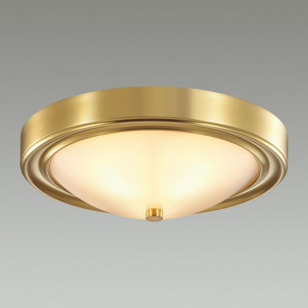 Фото Накладной светильник Lumion Nina 5259/2C