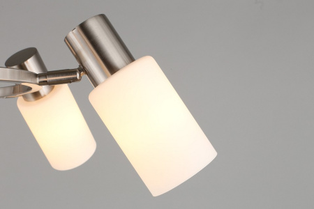 Фото Подвесная люстра Omnilux Ales OML-69113-06