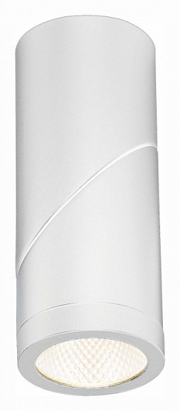 Фото Светильник на штанге ST-Luce ST650 ST650.532.10