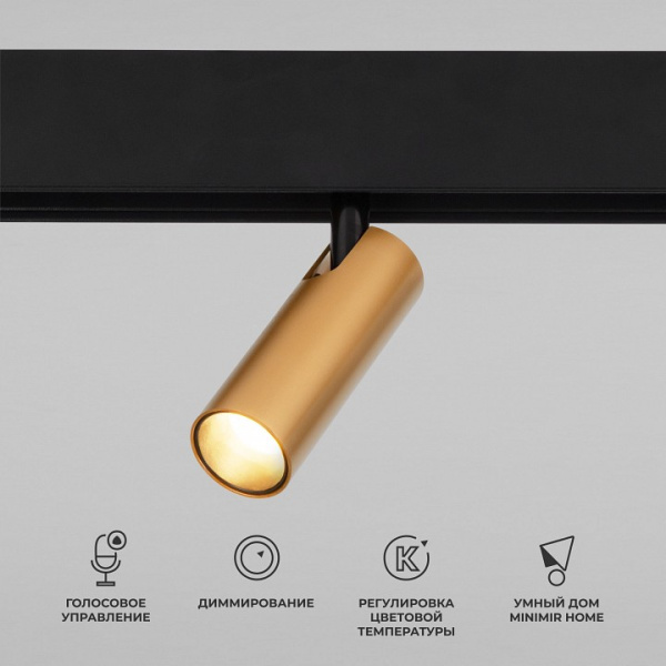 Фото Светильник на штанге Elektrostandard Slim Magnetic a063529