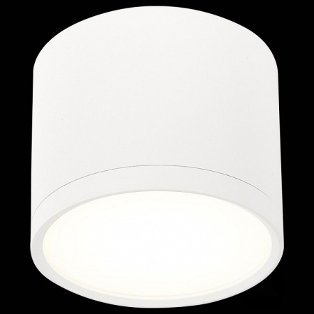 Фото Накладной светильник ST-Luce Rene ST113.542.09