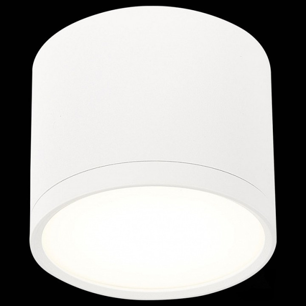 Фото Накладной светильник ST-Luce Rene ST113.542.09