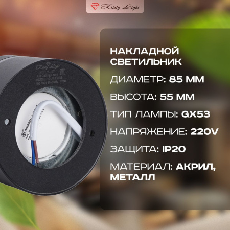 Фото Светильник потолочный накладной Kristy Light KL3373 GX53