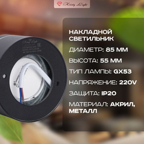 Фото Светильник потолочный накладной Kristy Light KL3373 GX53