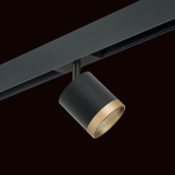 Фото Светильник на штанге Lightstar Rullo PRO348790