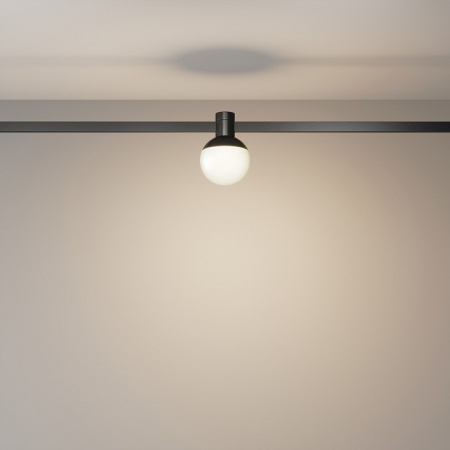 Фото Накладной светильник Maytoni Luna TR149-1-5W3K-B